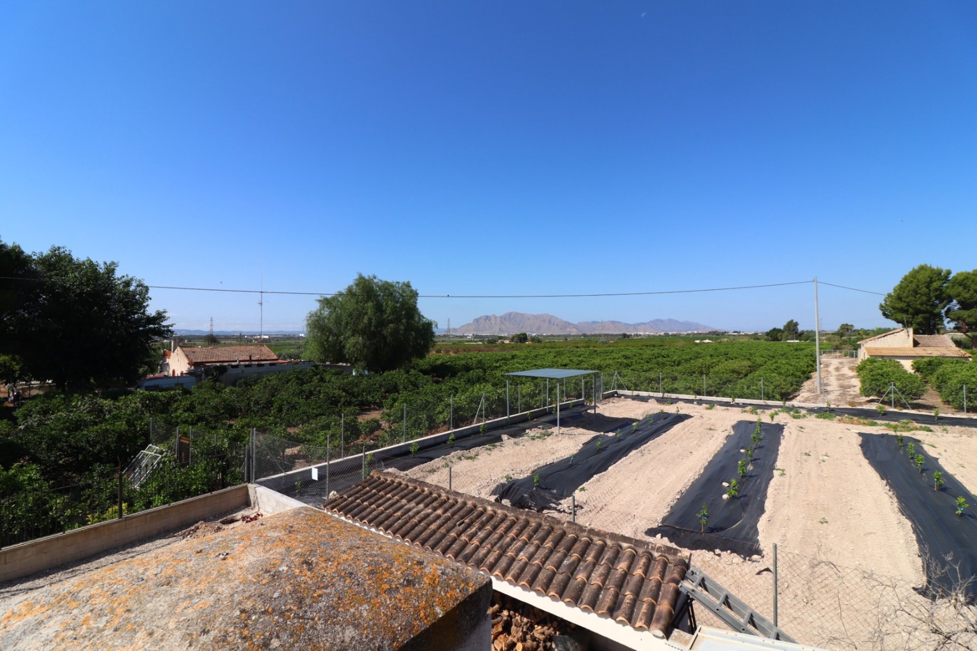 Venta - Finca / Country Property - Albatera - Albatera - Country
