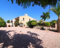 Venta - Finca / Country Property - Albatera - Albatera - Country