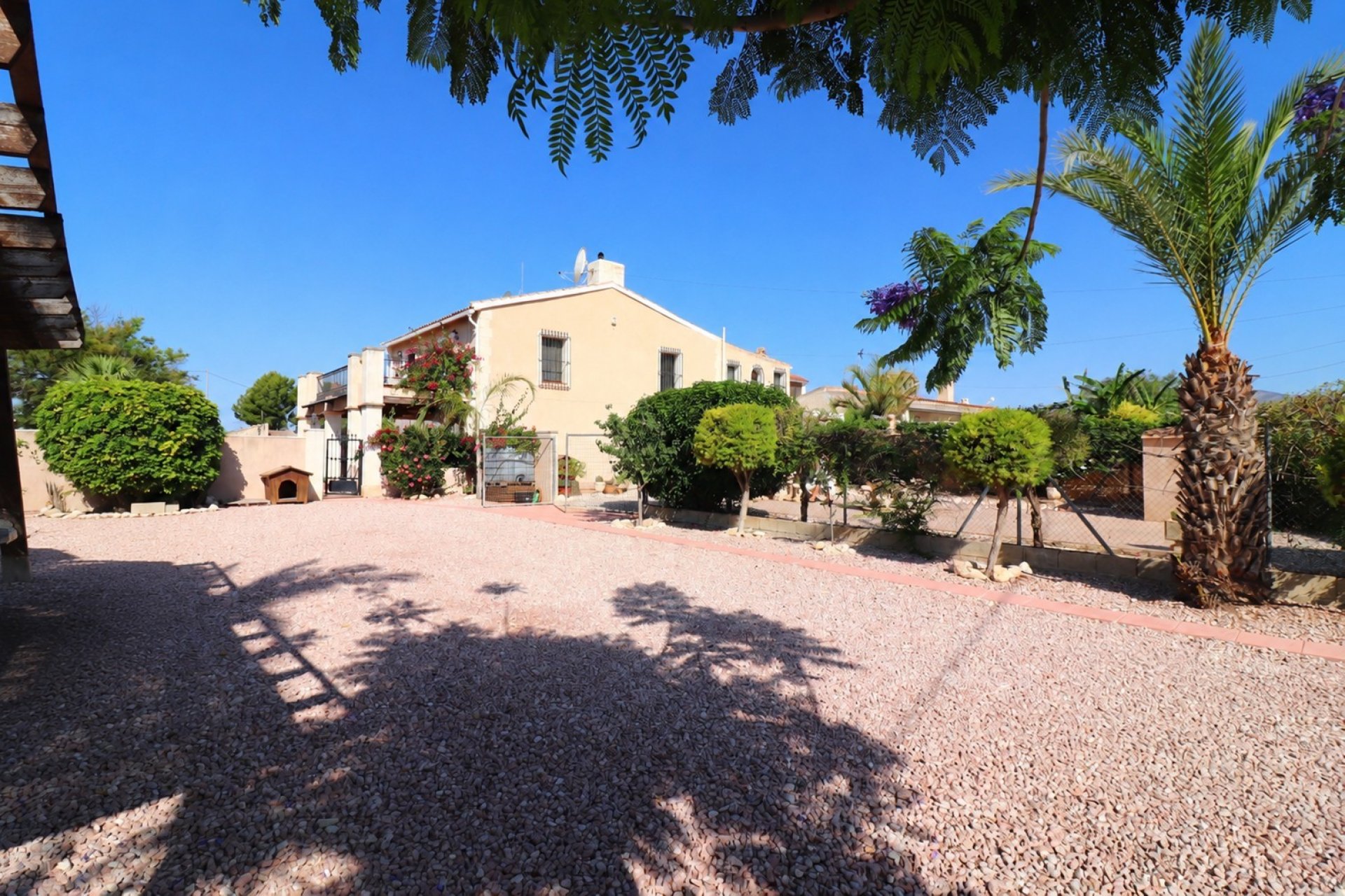 Venta - Finca / Country Property - Albatera - Albatera - Country