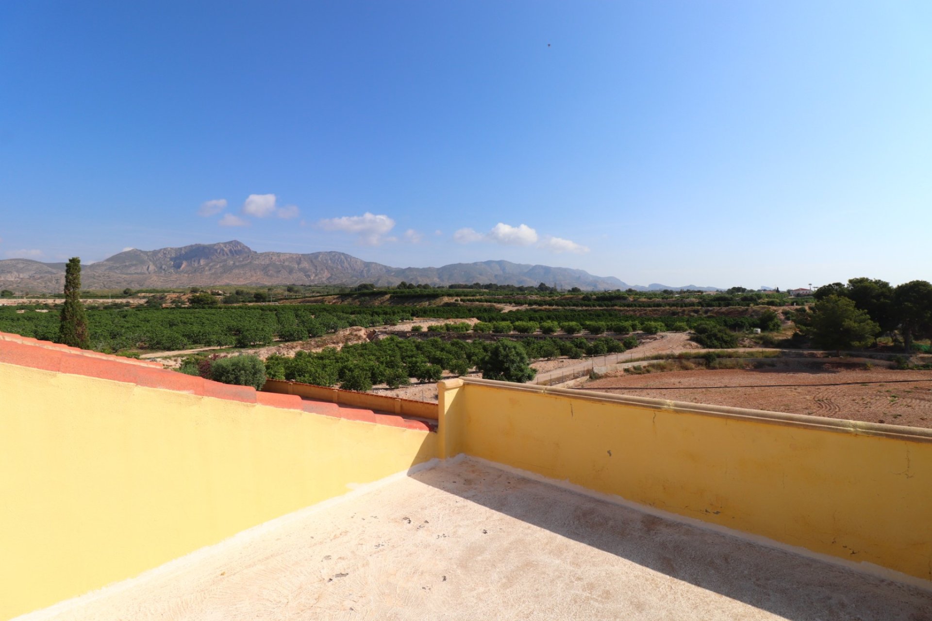 Venta - Finca / Country Property - Albatera - Albatera - Country