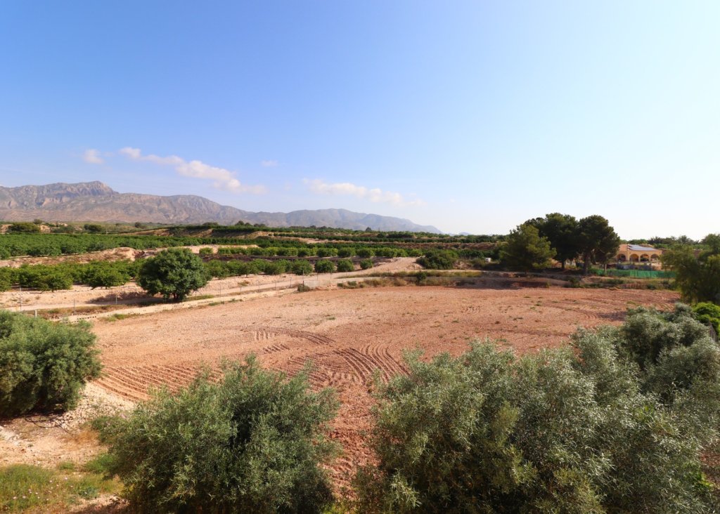 Venta - Finca / Country Property - Albatera - Albatera - Country