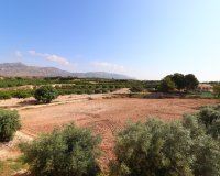 Venta - Finca / Country Property - Albatera - Albatera - Country