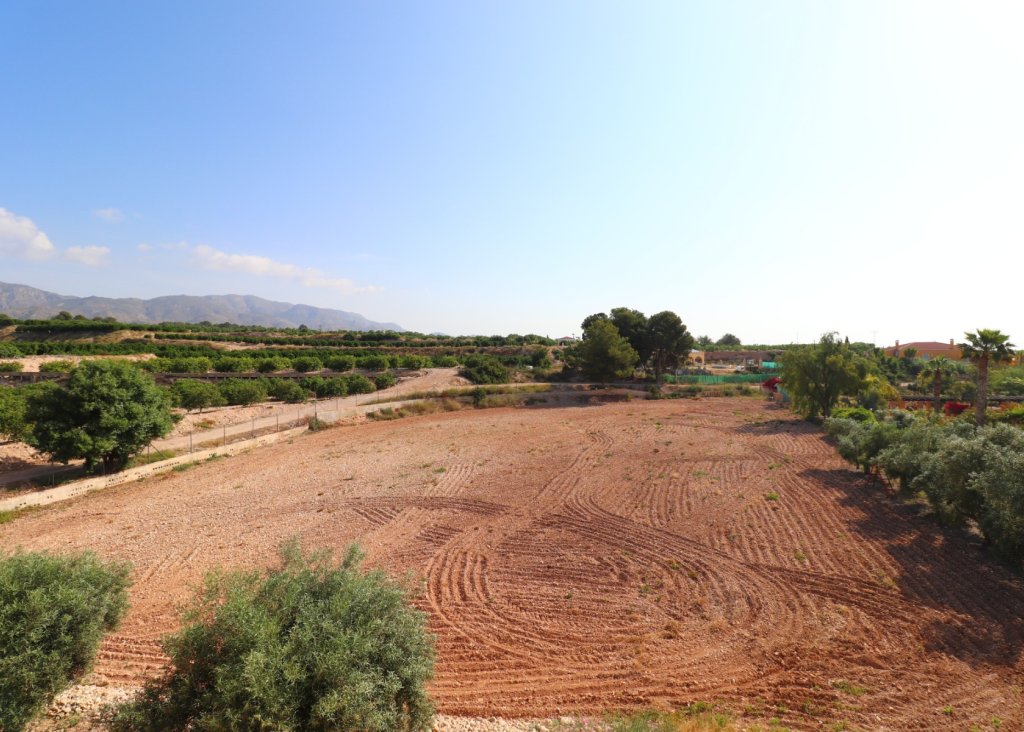 Venta - Finca / Country Property - Albatera - Albatera - Country