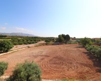 Venta - Finca / Country Property - Albatera - Albatera - Country