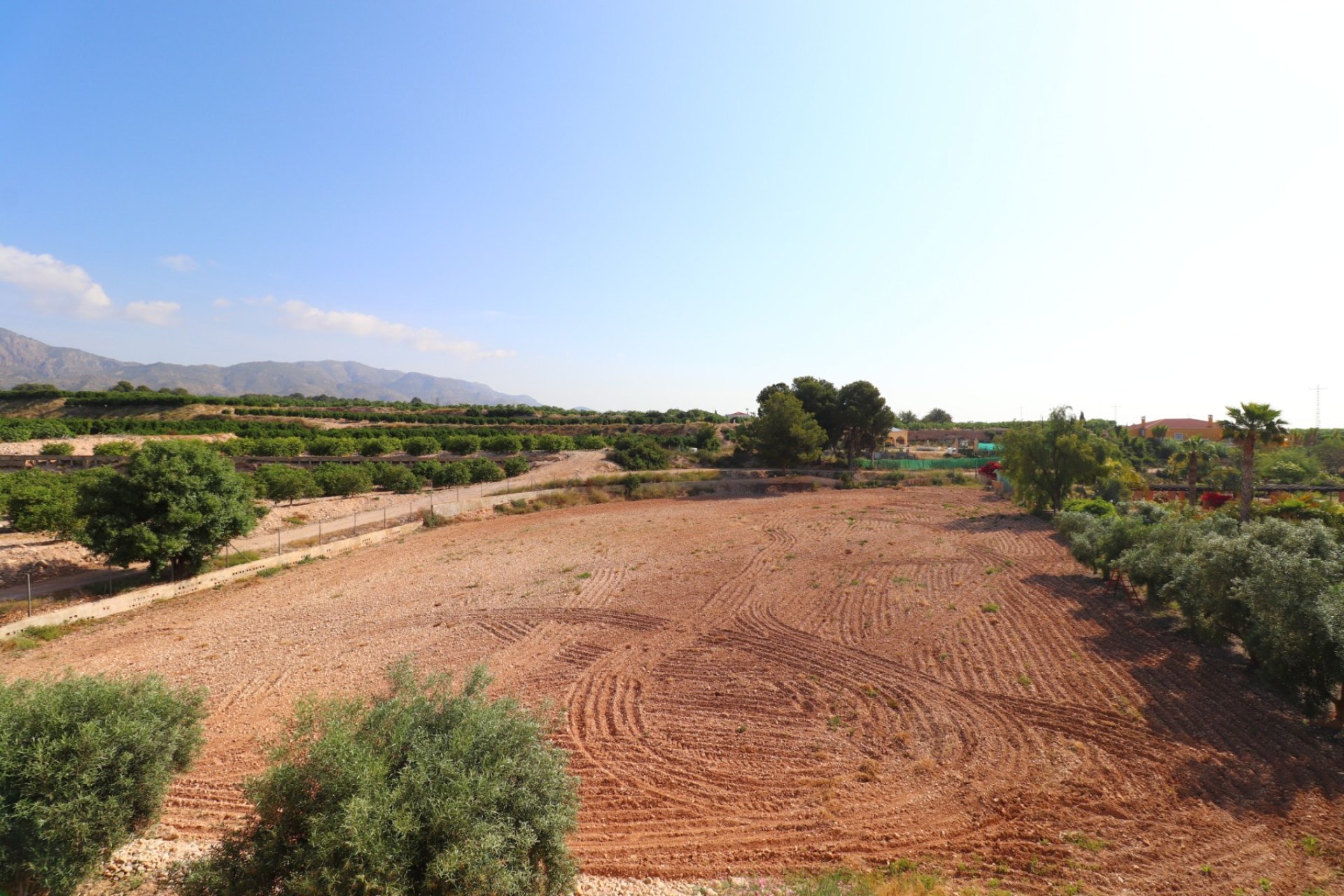 Venta - Finca / Country Property - Albatera - Albatera - Country