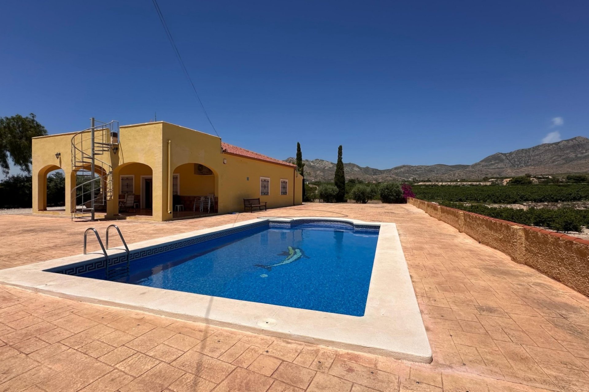 Venta - Finca / Country Property - Albatera - Albatera - Country