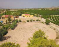 Venta - Finca / Country Property - Albatera - Albatera - Country