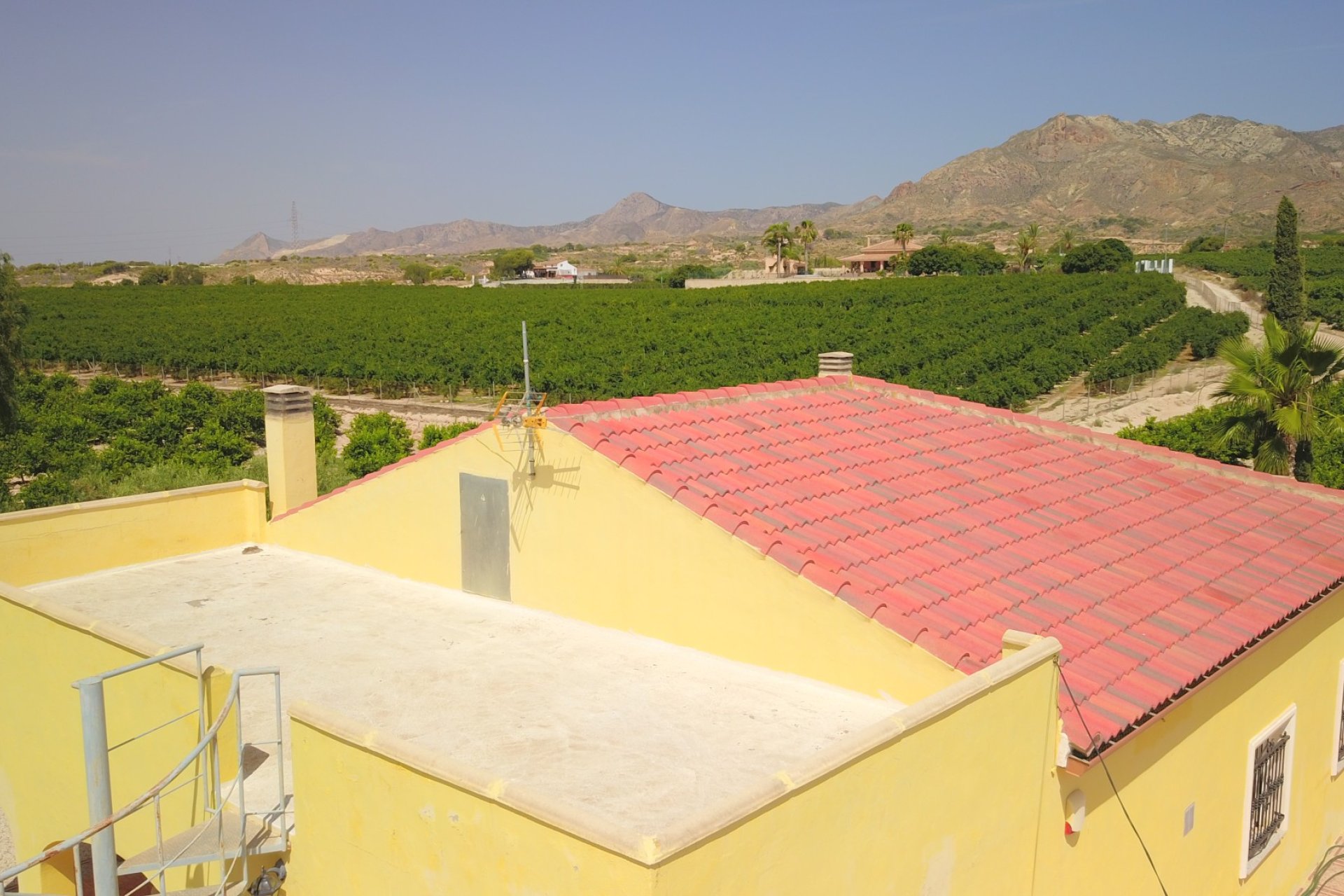 Venta - Finca / Country Property - Albatera - Albatera - Country