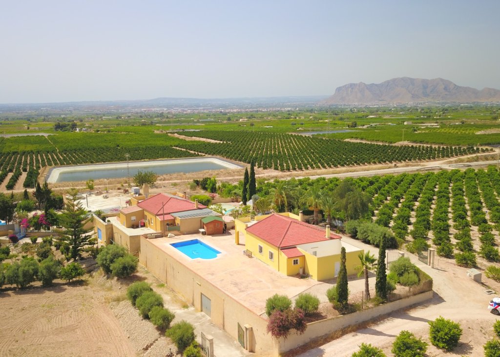 Venta - Finca / Country Property - Albatera - Albatera - Country