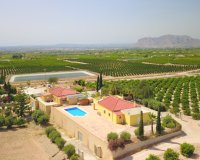 Venta - Finca / Country Property - Albatera - Albatera - Country