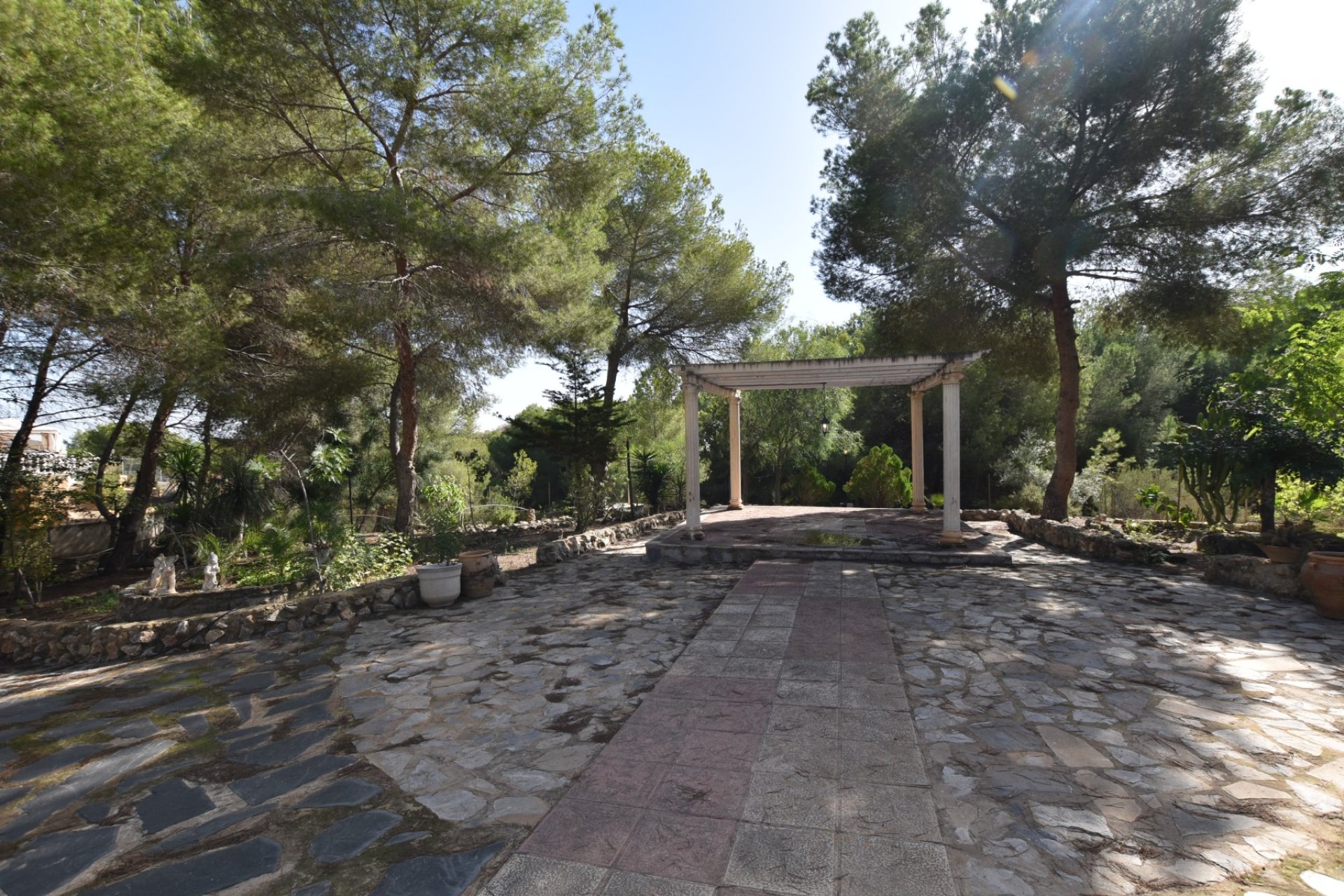 Venta - Finca / Country Property - Algorfa - Montemar