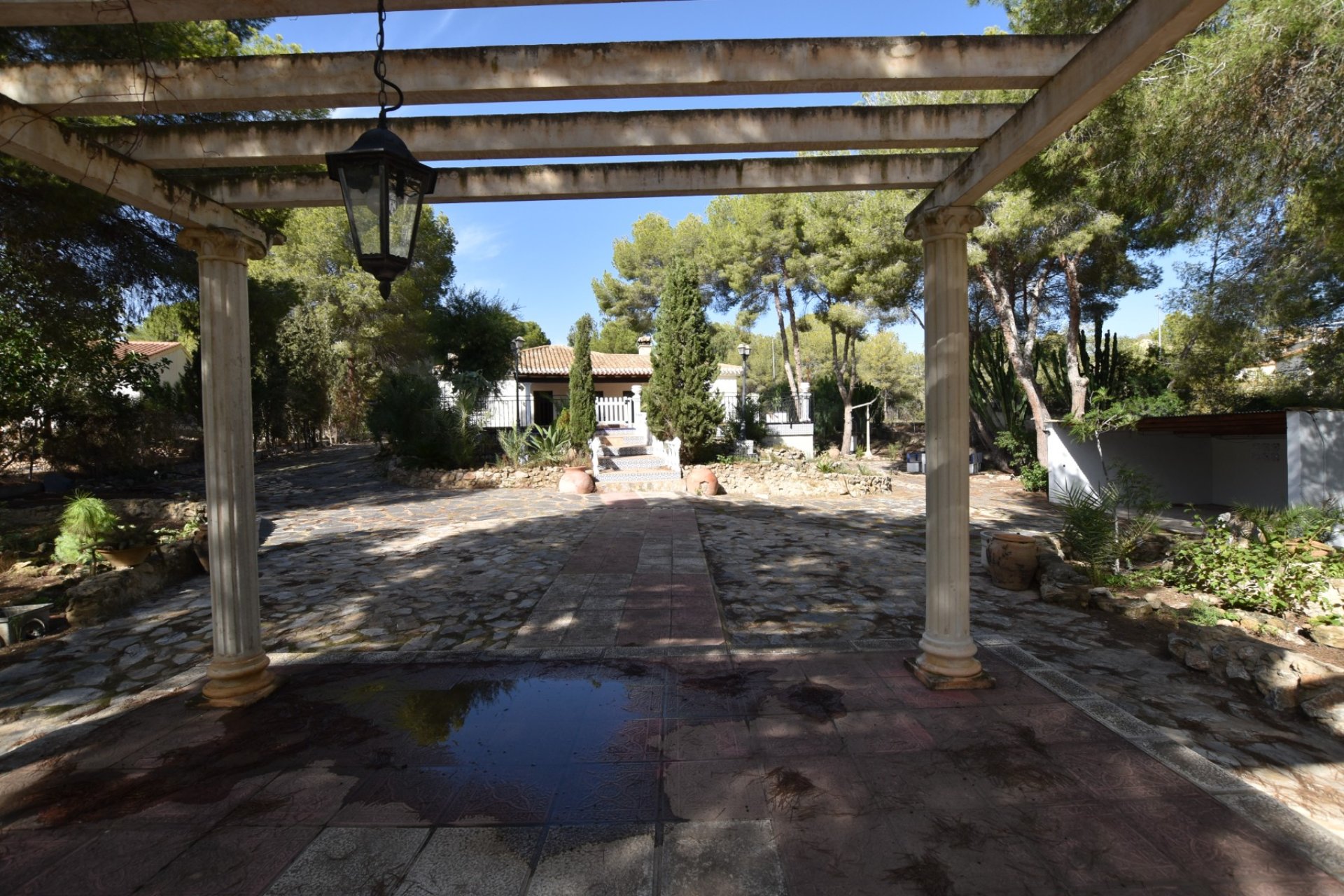 Venta - Finca / Country Property - Algorfa - Montemar