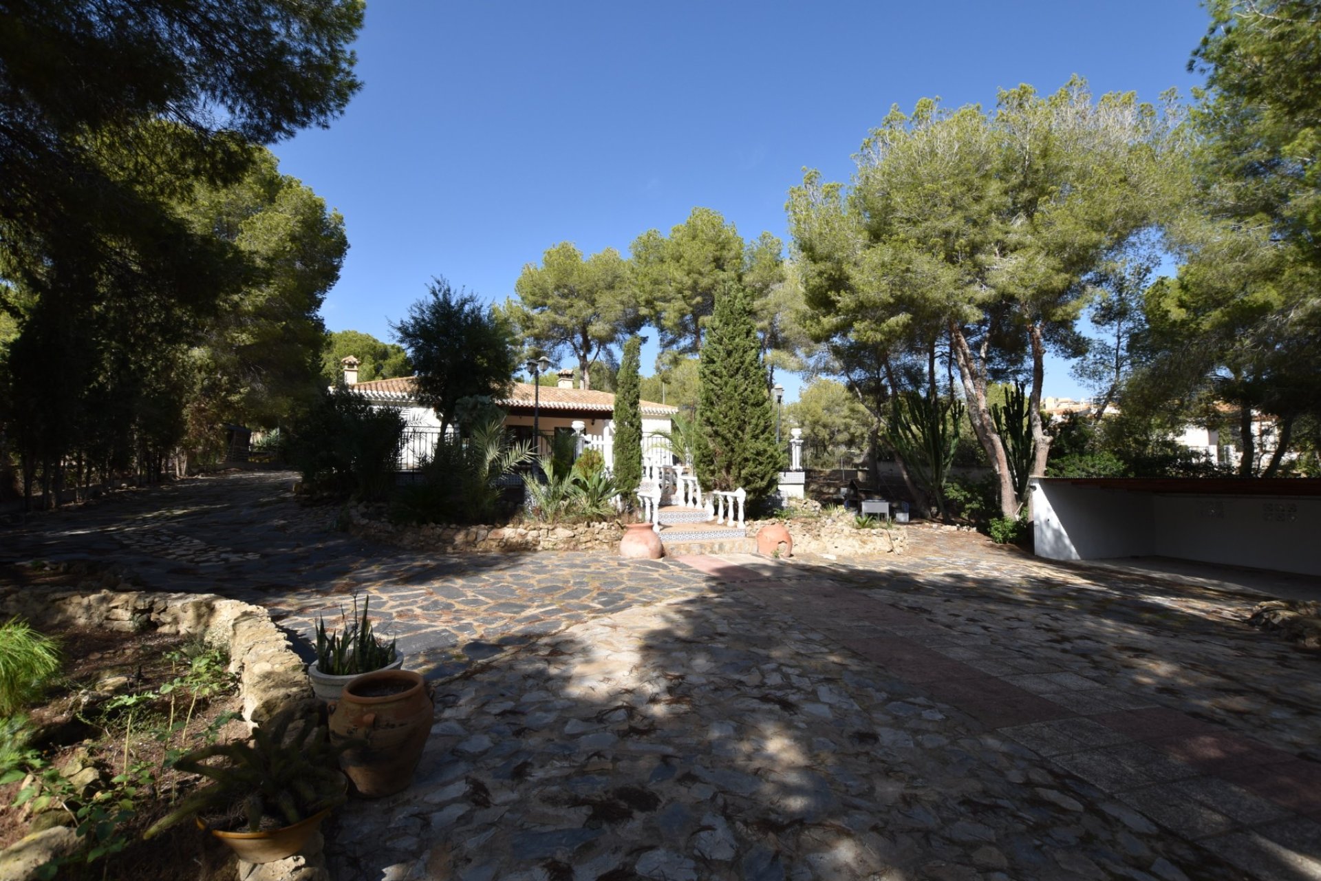 Venta - Finca / Country Property - Algorfa - Montemar