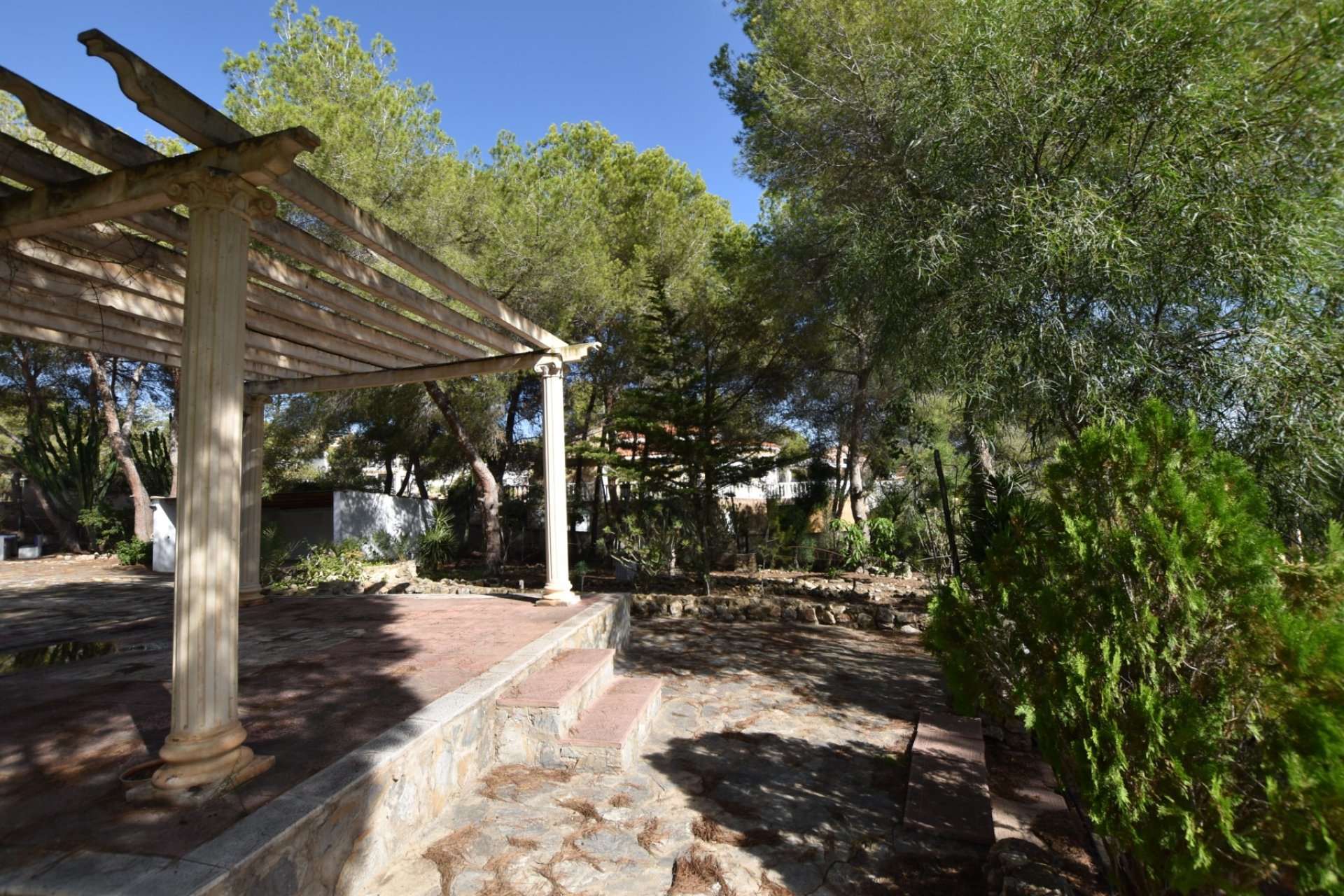 Venta - Finca / Country Property - Algorfa - Montemar