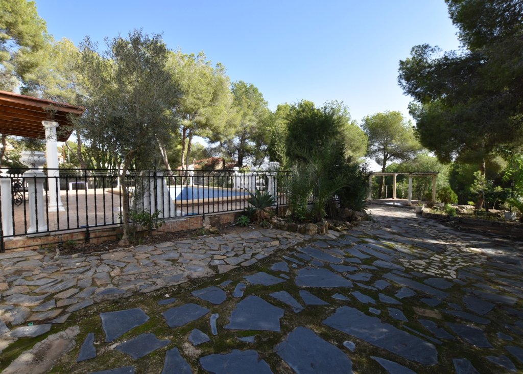 Venta - Finca / Country Property - Algorfa - Montemar