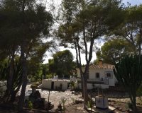 Venta - Finca / Country Property - Algorfa - Montemar