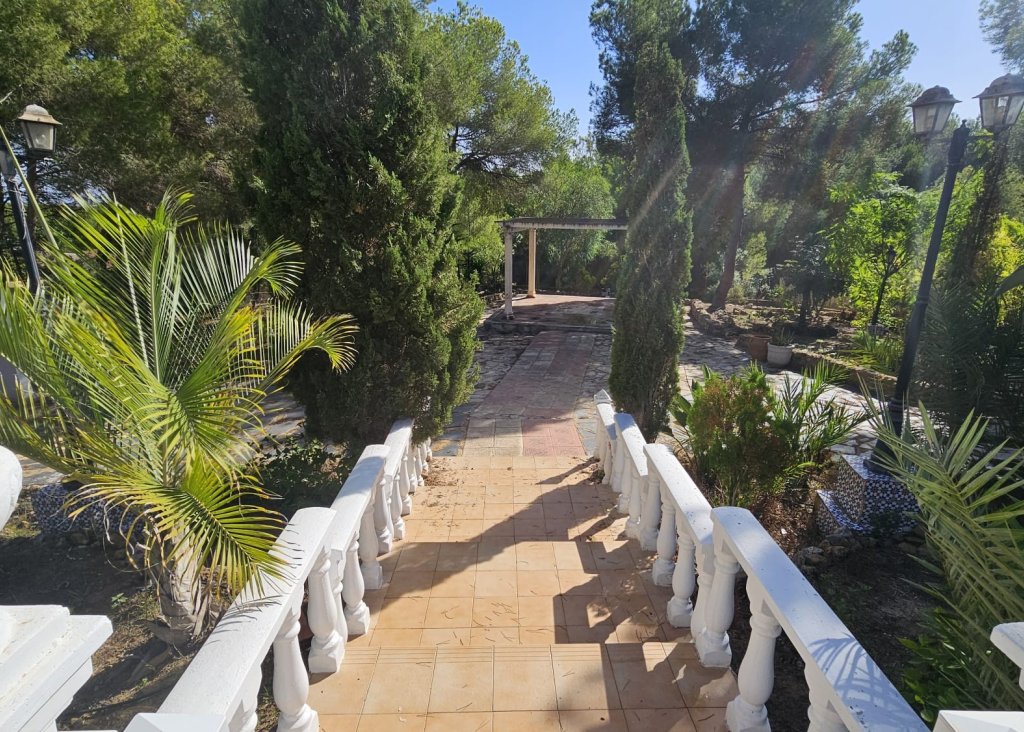 Venta - Finca / Country Property - Algorfa - Montemar