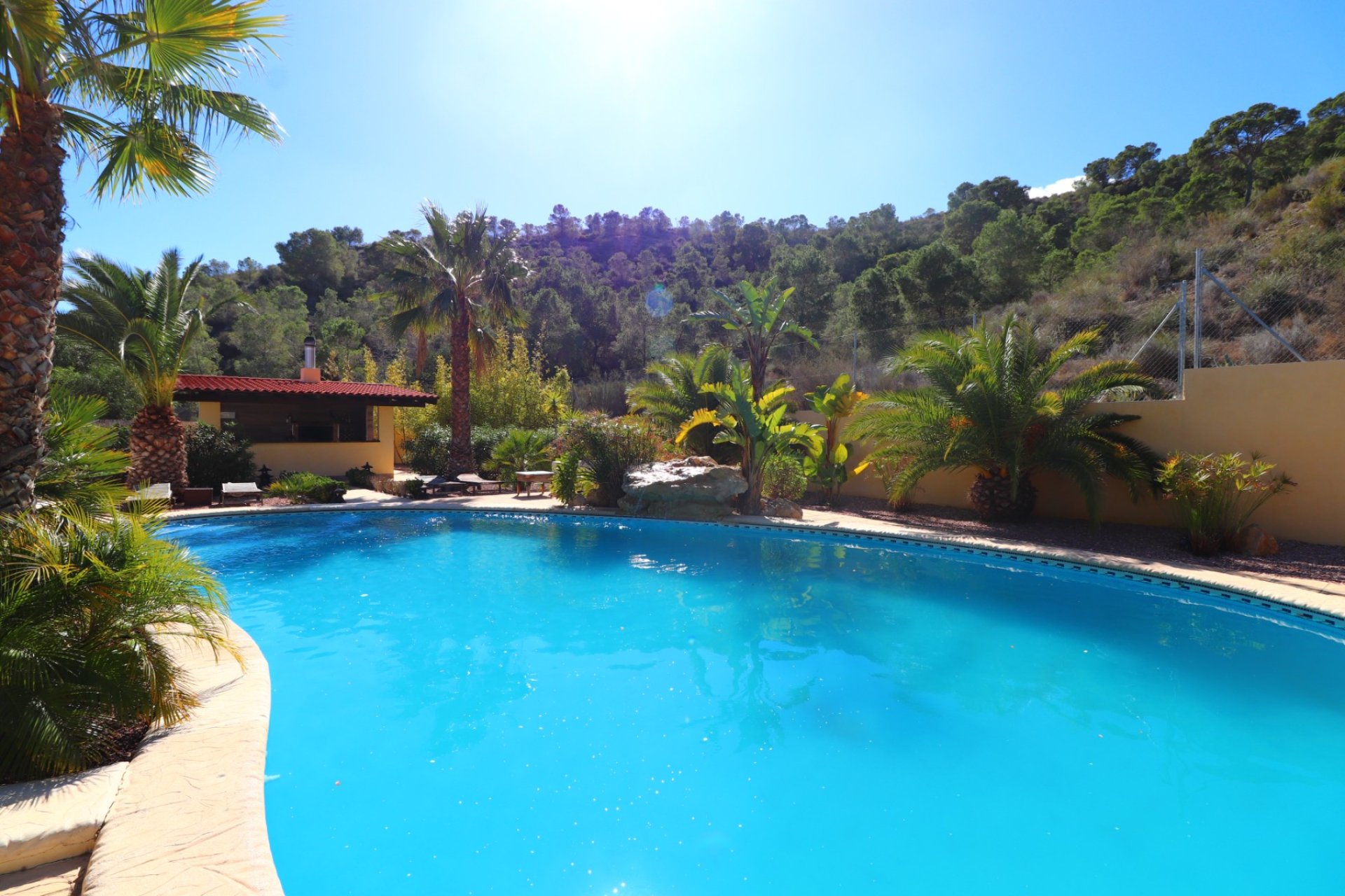 Venta - Finca / Country Property - Aspe - Aspe - Country