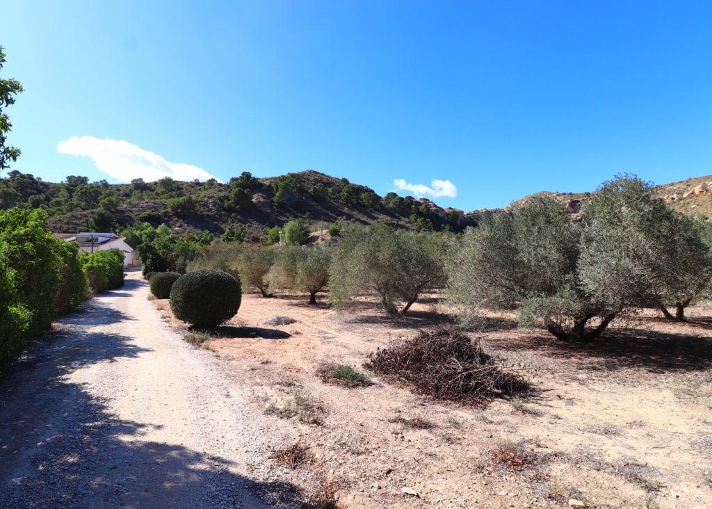 Venta - Finca / Country Property - Aspe - Aspe - Country