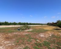 Venta - Finca / Country Property - Benferri - Benferri - Country