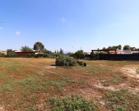 Venta - Finca / Country Property - Benferri - Benferri - Country