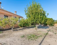 Venta - Finca / Country Property - Beniel - Carretera de Beniel