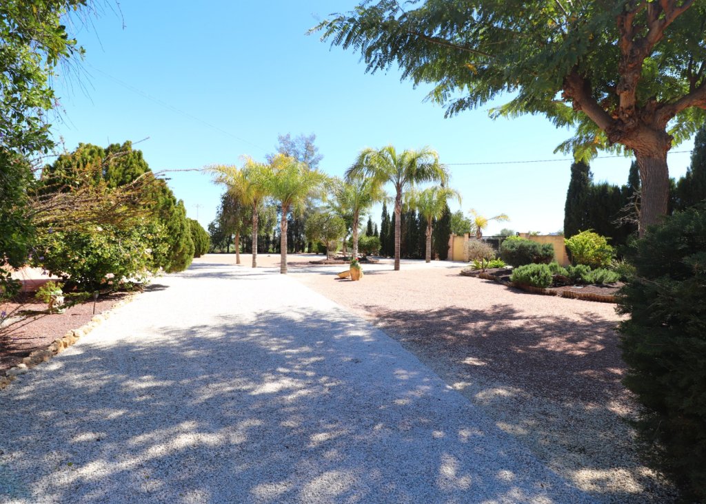 Venta - Finca / Country Property - Callosa de Segura - Callosa de Segura - Country