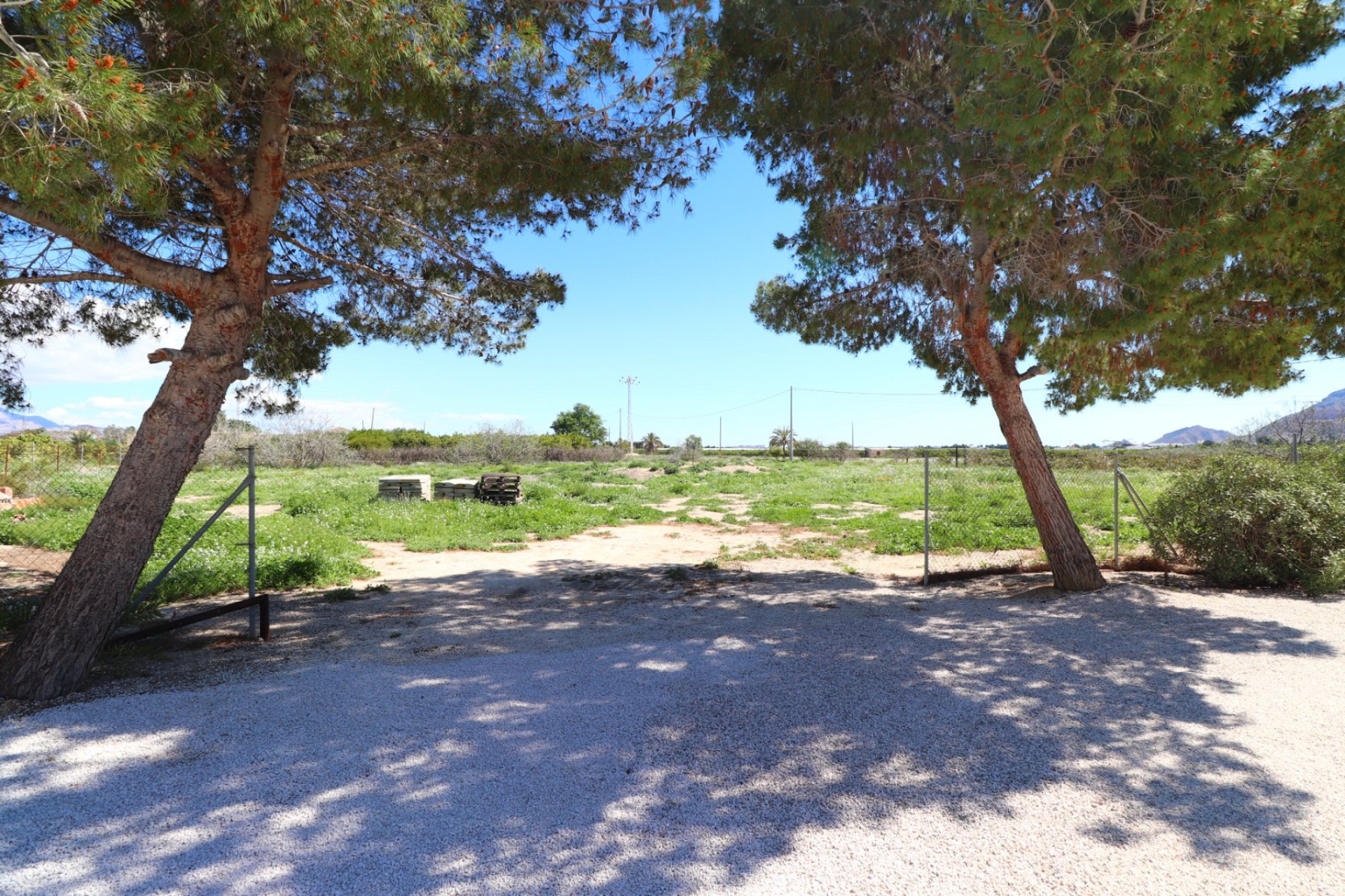 Venta - Finca / Country Property - Callosa de Segura - Callosa de Segura - Country