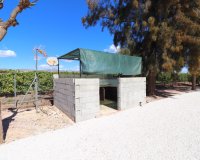 Venta - Finca / Country Property - Callosa de Segura - Callosa de Segura - Country