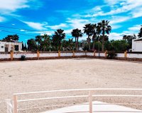 Venta - Finca / Country Property - Catral - Catral - Country