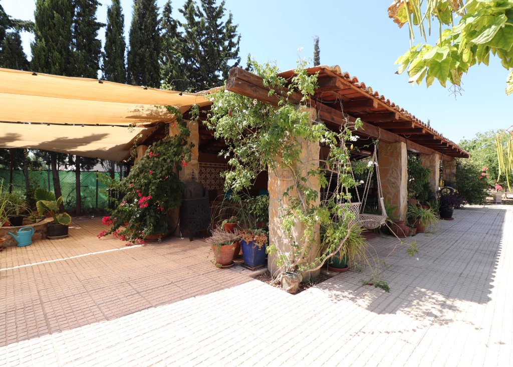 Venta - Finca / Country Property - Catral - Catral - Country