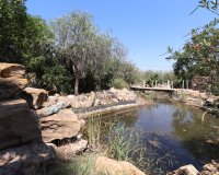 Venta - Finca / Country Property - Catral - Catral - Country