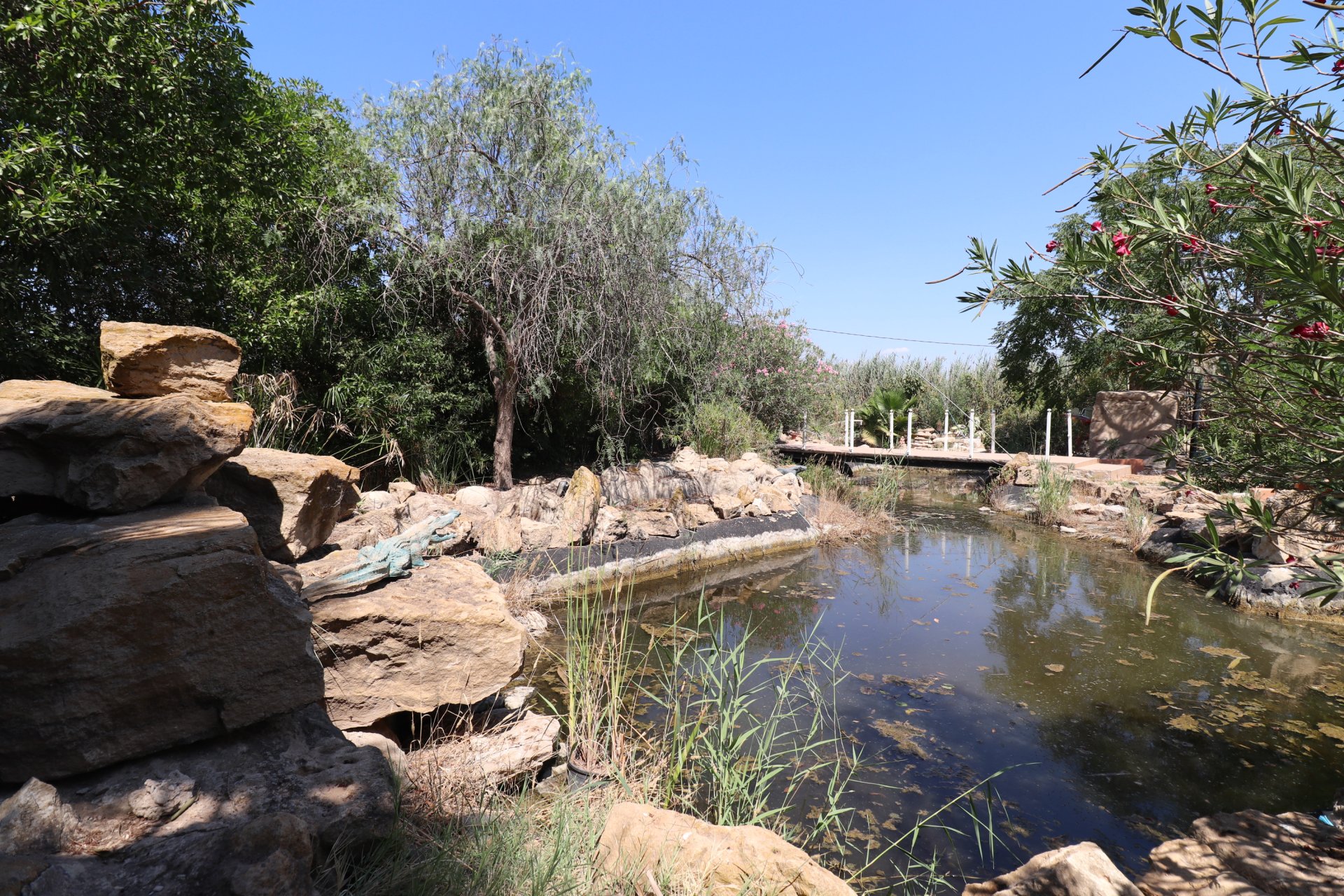 Venta - Finca / Country Property - Catral - Catral - Country