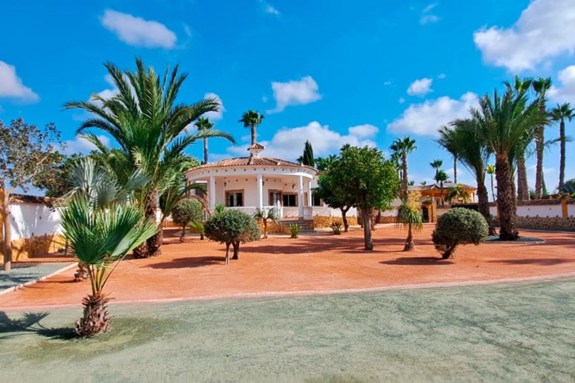 Venta - Finca / Country Property - Catral - Catral - Country