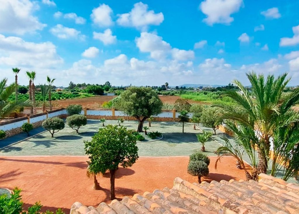 Venta - Finca / Country Property - Catral - Catral - Country