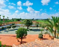 Venta - Finca / Country Property - Catral - Catral - Country