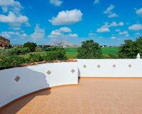 Venta - Finca / Country Property - Catral - Catral - Country