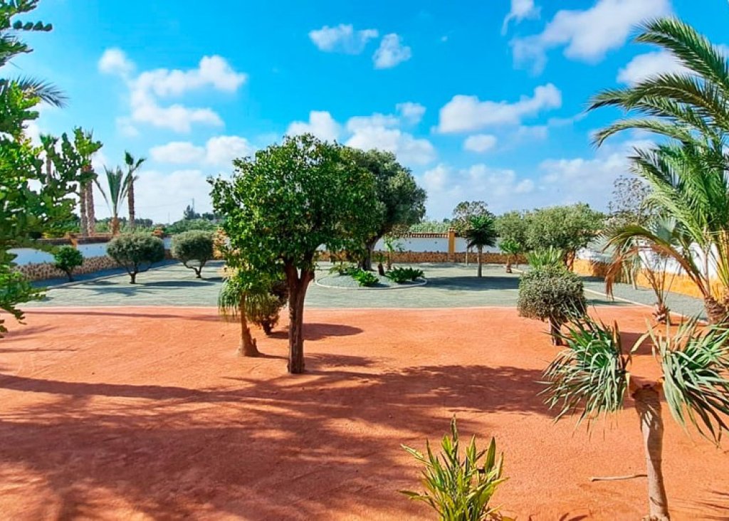 Venta - Finca / Country Property - Catral - Catral - Country