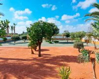 Venta - Finca / Country Property - Catral - Catral - Country