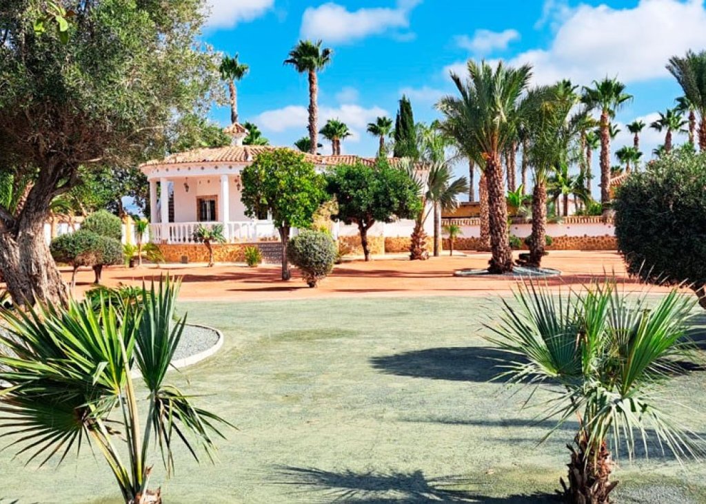 Venta - Finca / Country Property - Catral - Catral - Country