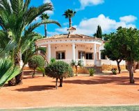 Venta - Finca / Country Property - Catral - Catral - Country