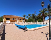 Venta - Finca / Country Property - Catral - Catral - Country