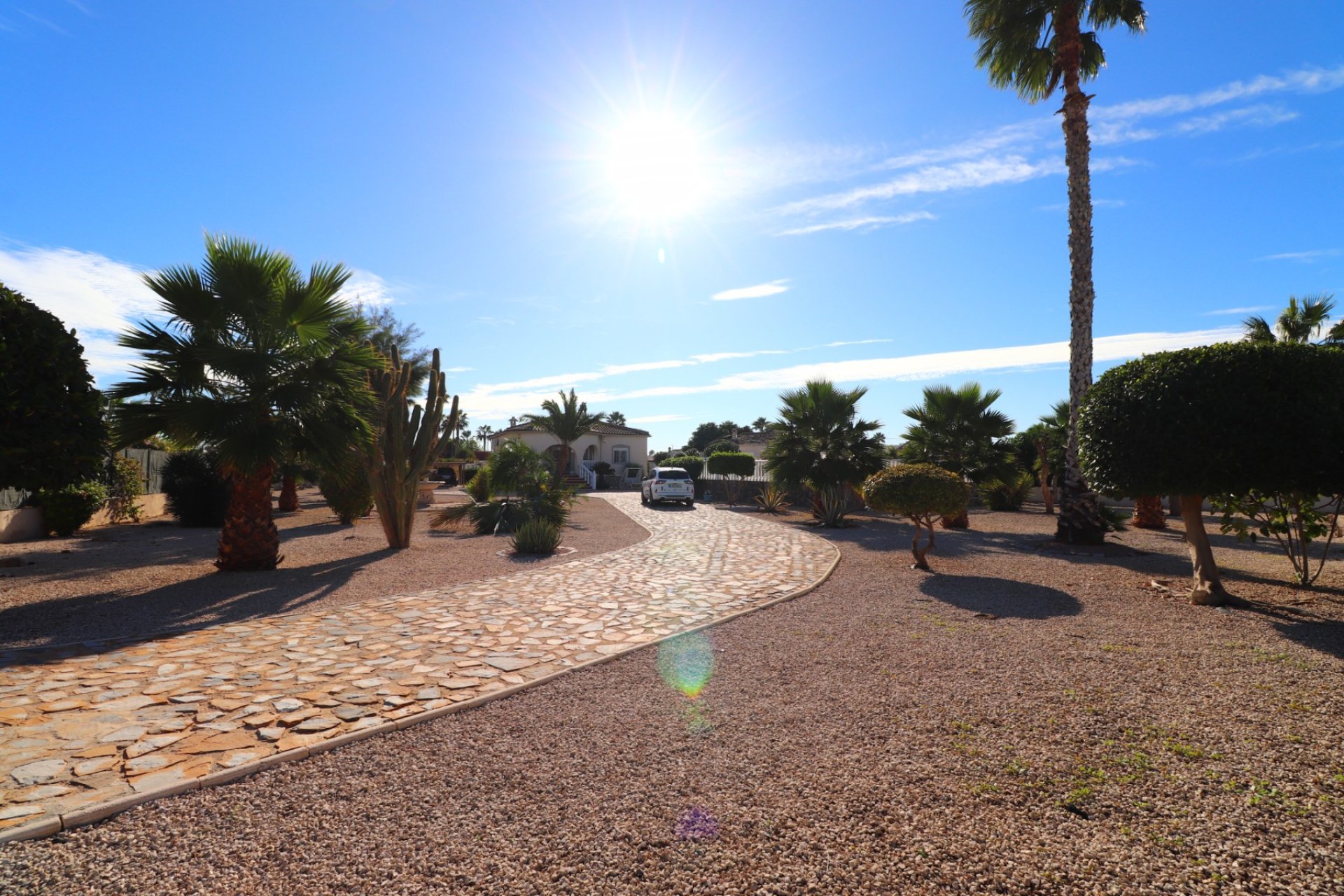 Venta - Finca / Country Property - Catral - Catral - Country