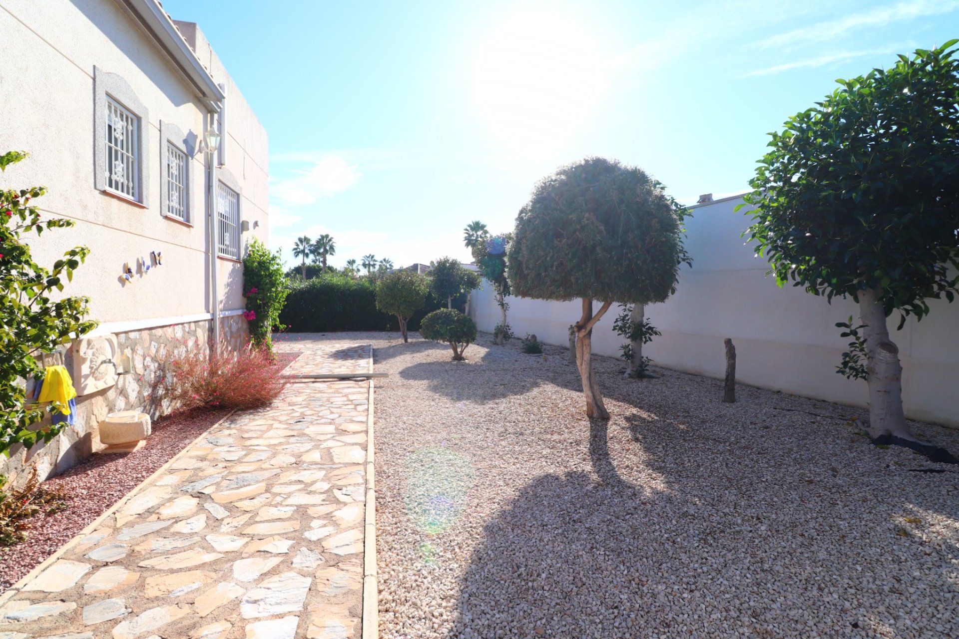 Venta - Finca / Country Property - Catral - Catral - Country