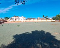 Venta - Finca / Country Property - Catral - Catral - Country