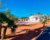 Venta - Finca / Country Property - Catral - Catral - Country
