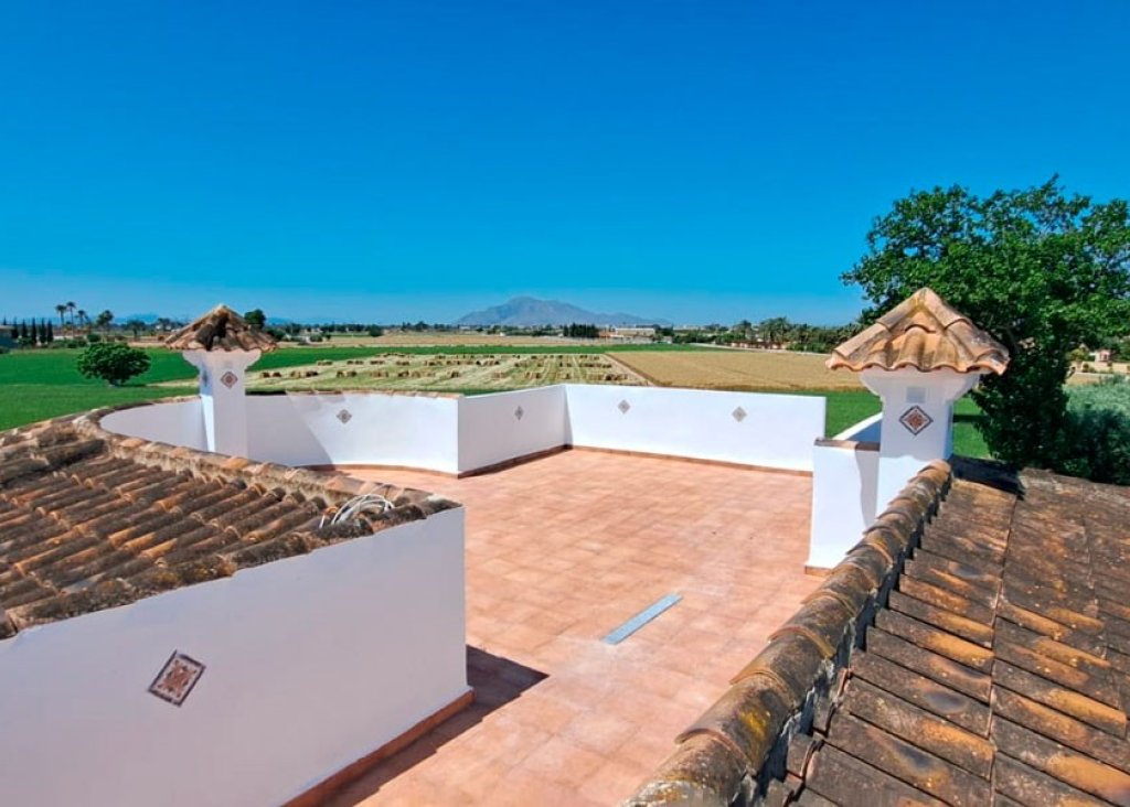 Venta - Finca / Country Property - Catral - Catral - Country