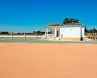 Venta - Finca / Country Property - Catral - Catral - Country