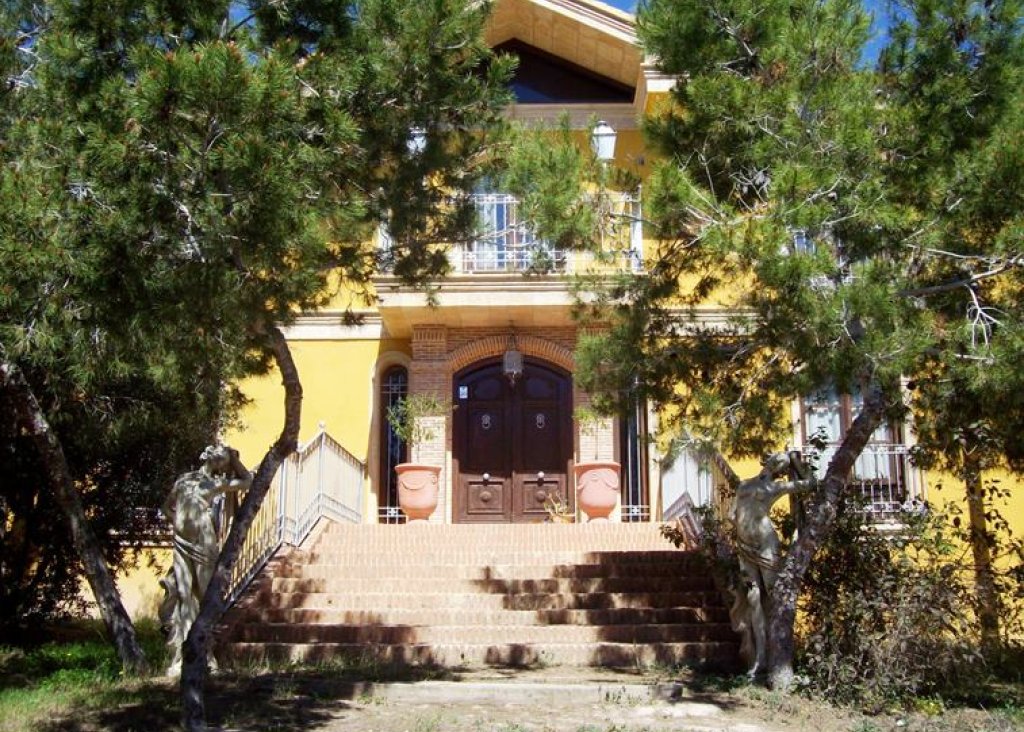 Venta - Finca / Country Property - Ciudad Quesada - Lo Pepin