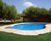 Venta - Finca / Country Property - Ciudad Quesada - Lo Pepin